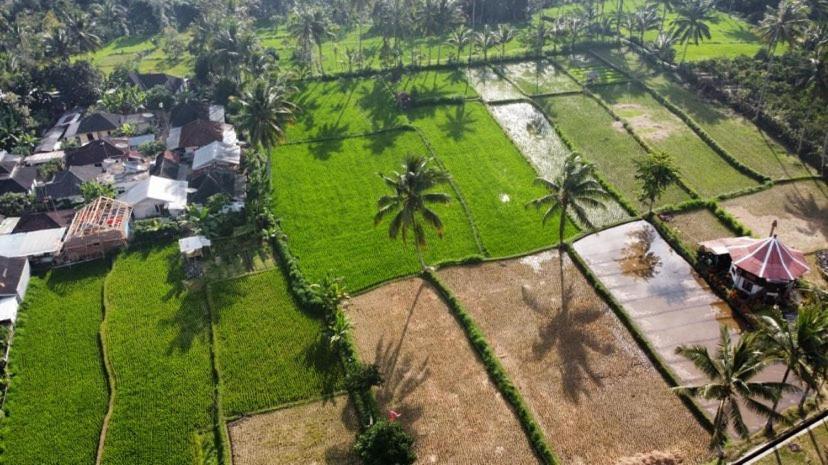 Alfarizi Homestay Тетебату Екстер'єр фото